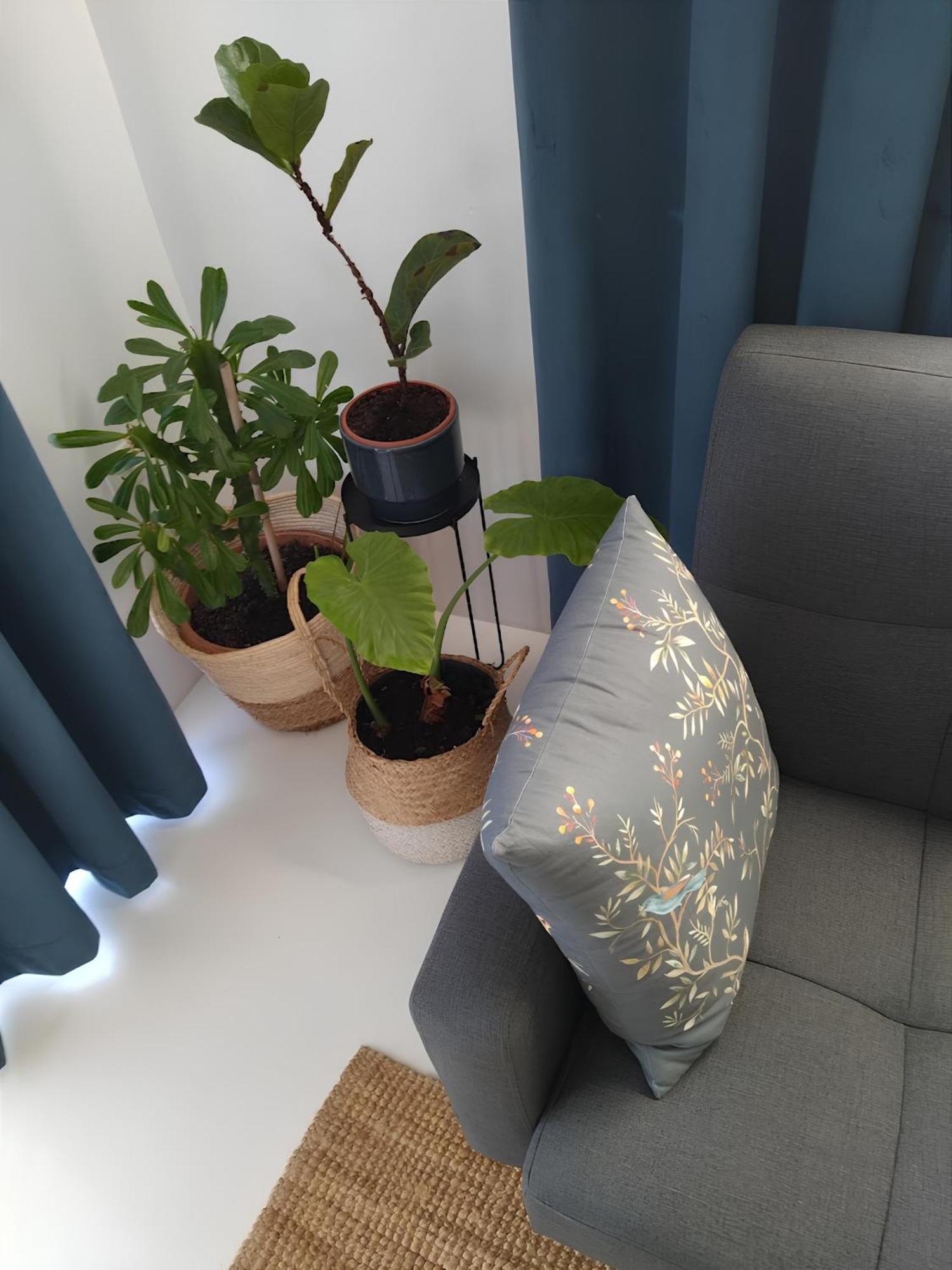 Zen Minimal Luxury Housing Tyros Villa Luaran gambar